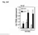 Fig. 16 - IDENTIFICATION OF NEUROPROTECTIVE AGENTS USING PRO-INFLAMMATORY HUMAN GLIAL CELLS