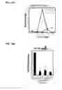 Fig. 22 - IDENTIFICATION OF NEUROPROTECTIVE AGENTS USING PRO-INFLAMMATORY HUMAN GLIAL CELLS