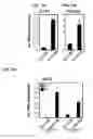 Fig. 32 - IDENTIFICATION OF NEUROPROTECTIVE AGENTS USING PRO-INFLAMMATORY HUMAN GLIAL CELLS