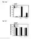 Fig. 35 - IDENTIFICATION OF NEUROPROTECTIVE AGENTS USING PRO-INFLAMMATORY HUMAN GLIAL CELLS