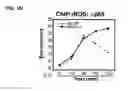 Fig. 40 - IDENTIFICATION OF NEUROPROTECTIVE AGENTS USING PRO-INFLAMMATORY HUMAN GLIAL CELLS