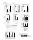 Fig. 48 - IDENTIFICATION OF NEUROPROTECTIVE AGENTS USING PRO-INFLAMMATORY HUMAN GLIAL CELLS