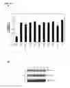 Fig. 52 - IDENTIFICATION OF NEUROPROTECTIVE AGENTS USING PRO-INFLAMMATORY HUMAN GLIAL CELLS