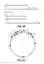 Fig. 12 - TARGETED SEQUENCING LIBRARY PREPARATION BY GENOMIC DNA CIRCULARIZATION