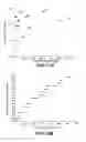 Fig. 20 - TARGETED SEQUENCING LIBRARY PREPARATION BY GENOMIC DNA CIRCULARIZATION