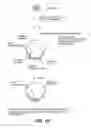 Fig. 23 - TARGETED SEQUENCING LIBRARY PREPARATION BY GENOMIC DNA CIRCULARIZATION