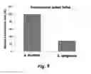 Fig. 07 - METHODS AND DEVICES FOR THE SELECTIVE DETECTION OF MICROORGANISMS