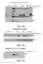 Fig. 03 - Methods and Kits for Detecting Mastitis