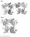 Fig. 09 - HIGH RESOLUTION COMPLEX STRUCTURE AND ALLOSTERIC EFFECTS OF LOW MOLECULAR WEIGHT ACTIVATORS ON THE PROTEIN KINASE PDK1