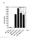 Fig. 05 - Method of screening for a substance that strengthens a bond between thioredoxin and macrophage migration inhibition factor
