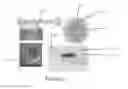 Fig. 10 - Method for preparing small volume reaction containers