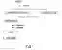 Fig. 02 - Fructosyl peptide oxidase