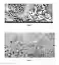 Fig. 02 - HYDROPHOBIC MAGNETIC PARTICLES