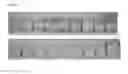 Fig. 07 - Enzymatic generation of functional lipids from cereals or cereal bi-streams