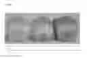 Fig. 08 - Enzymatic generation of functional lipids from cereals or cereal bi-streams