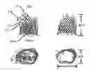 Fig. 01 - Bioengineered protein pores