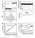 Fig. 04 - Bioengineered protein pores