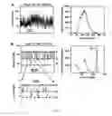 Fig. 06 - Bioengineered protein pores
