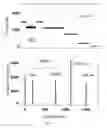 Fig. 11 - Bioengineered protein pores