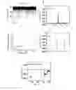 Fig. 12 - Bioengineered protein pores