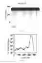 Fig. 20 - Bioengineered protein pores