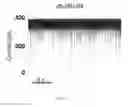 Fig. 22 - Bioengineered protein pores