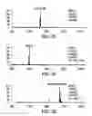 Fig. 05 - METABOLIC ENGINEERING OF A GALACTOSE ASSIMILATION PATHWAY IN THE GLYCOENGINEERED YEAST PICHIA PASTORIS