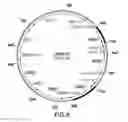 Fig. 08 - METABOLIC ENGINEERING OF A GALACTOSE ASSIMILATION PATHWAY IN THE GLYCOENGINEERED YEAST PICHIA PASTORIS