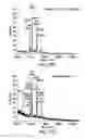 Fig. 16 - METABOLIC ENGINEERING OF A GALACTOSE ASSIMILATION PATHWAY IN THE GLYCOENGINEERED YEAST PICHIA PASTORIS