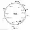 Fig. 19 - METABOLIC ENGINEERING OF A GALACTOSE ASSIMILATION PATHWAY IN THE GLYCOENGINEERED YEAST PICHIA PASTORIS