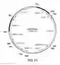 Fig. 26 - METABOLIC ENGINEERING OF A GALACTOSE ASSIMILATION PATHWAY IN THE GLYCOENGINEERED YEAST PICHIA PASTORIS