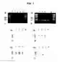 Fig. 02 - Methods of producing monoclonal antibodies specific for human hepcidin