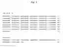 Fig. 08 - Methods of producing monoclonal antibodies specific for human hepcidin