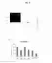Fig. 10 - Methods of producing monoclonal antibodies specific for human hepcidin