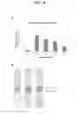 Fig. 15 - Methods of producing monoclonal antibodies specific for human hepcidin