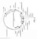 Fig. 13 - Thermostable Alpha-Amylases