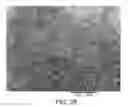 Fig. 27 - Processing biomass
