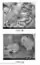 Fig. 30 - Processing biomass