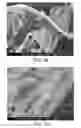 Fig. 31 - Processing biomass