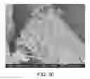 Fig. 32 - Processing biomass