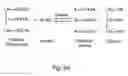 Fig. 07 - Biological Clean Fuel Processing Systems and Methods