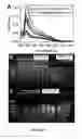 Fig. 07 - Isolation of Biomolecules from Biological Samples