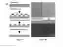 Fig. 05 - Device for capturing circulating cells