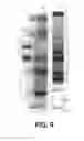 Fig. 04 - Polymerase Enhancing Factor (PEF) Extracts PEF Protein Complexes Isolated PEF Proteins and Methods for Purifying and Identifying