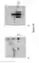 Fig. 09 - Polymerase Enhancing Factor (PEF) Extracts PEF Protein Complexes Isolated PEF Proteins and Methods for Purifying and Identifying