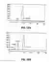 Fig. 18 - Polymerase Enhancing Factor (PEF) Extracts PEF Protein Complexes Isolated PEF Proteins and Methods for Purifying and Identifying