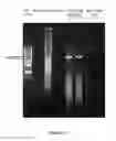 Fig. 25 - Polymerase Enhancing Factor (PEF) Extracts PEF Protein Complexes Isolated PEF Proteins and Methods for Purifying and Identifying