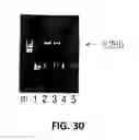 Fig. 32 - Polymerase Enhancing Factor (PEF) Extracts PEF Protein Complexes Isolated PEF Proteins and Methods for Purifying and Identifying