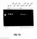 Fig. 43 - Polymerase Enhancing Factor (PEF) Extracts PEF Protein Complexes Isolated PEF Proteins and Methods for Purifying and Identifying