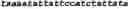 Fig. 08 - Protease comprising one or more combinable mutations